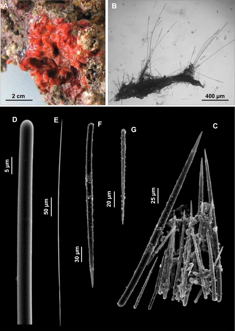 Figure 9.