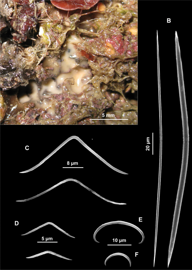 Figure 14.