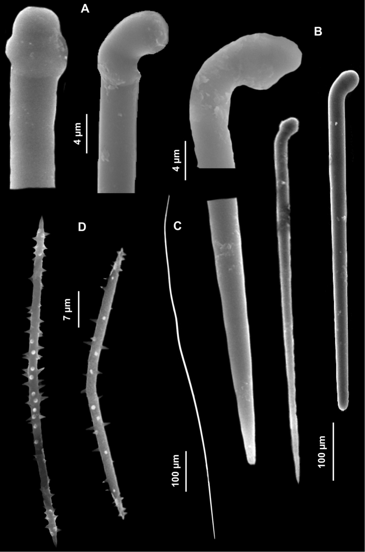 Figure 13.