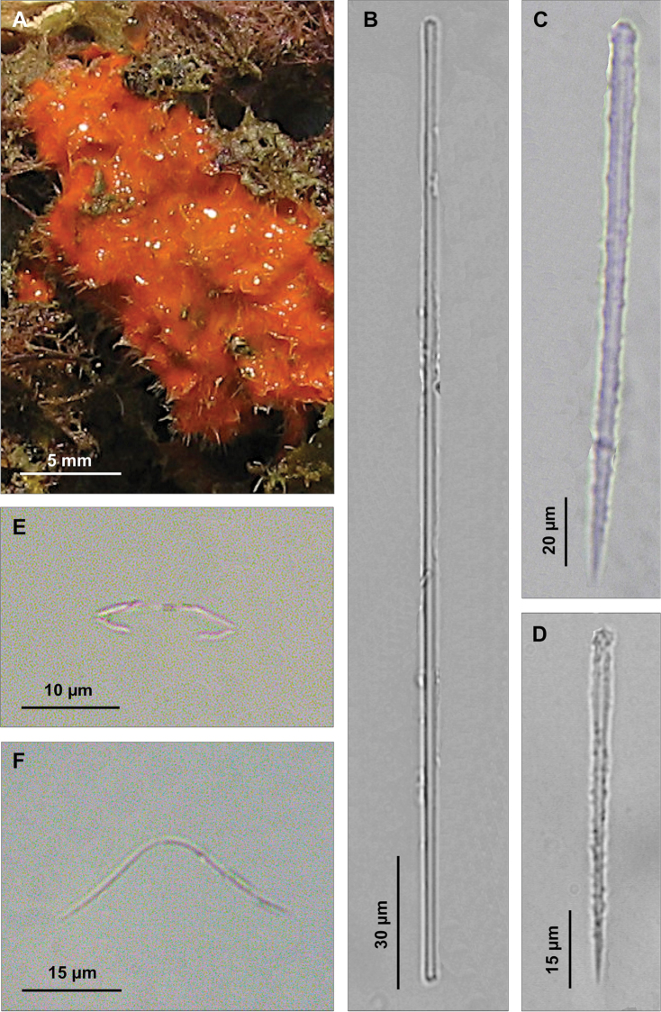 Figure 7.