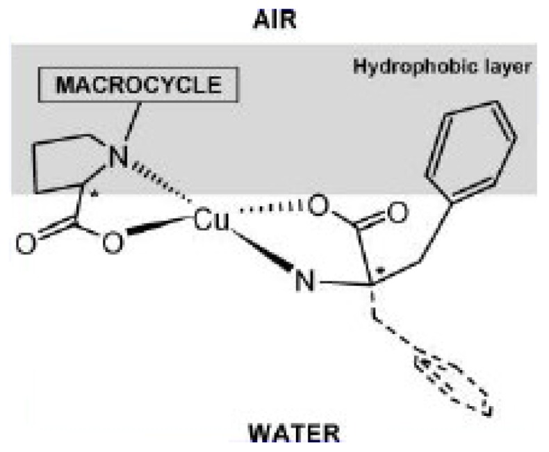 Figure 40