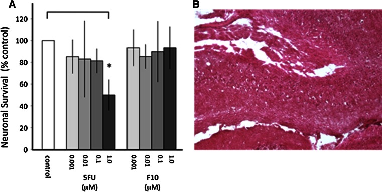 Fig. 2