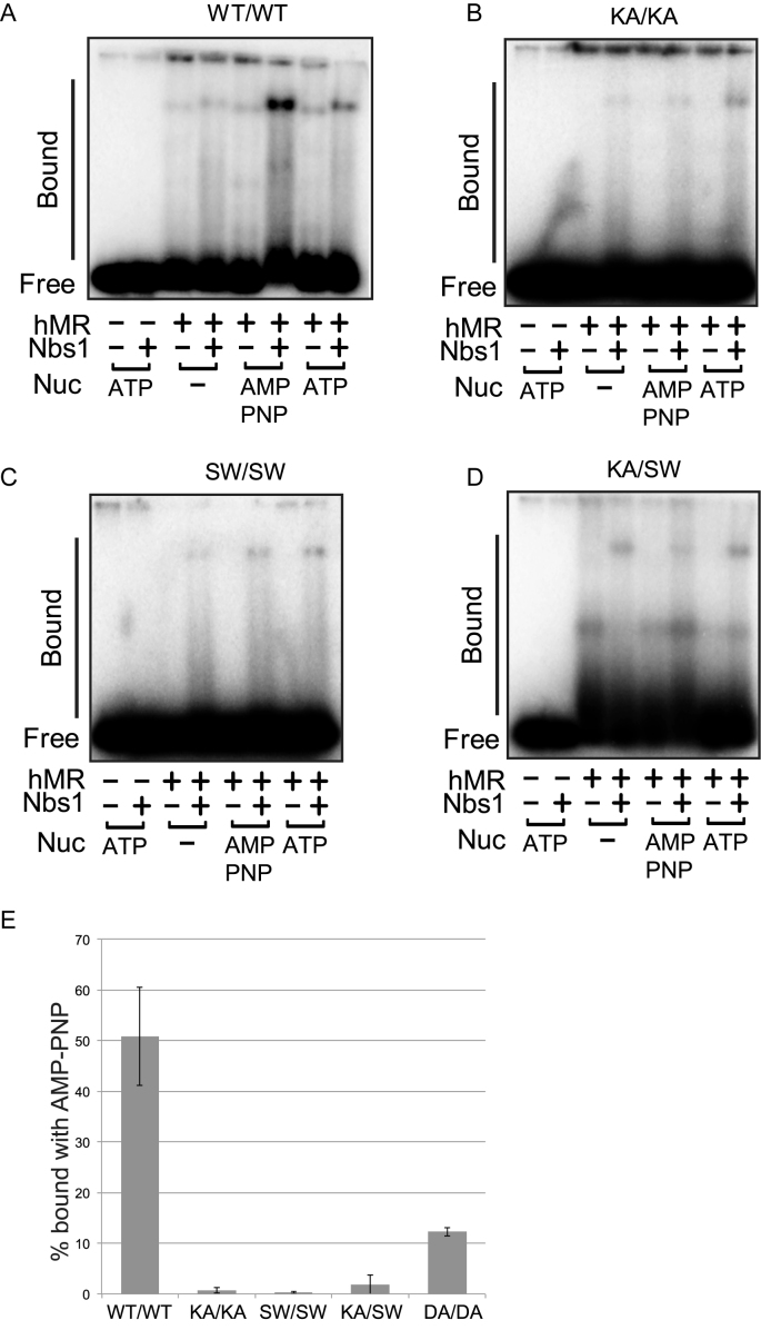 Figure 5.