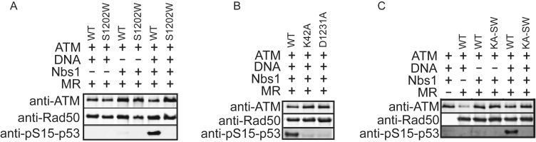 Figure 6.