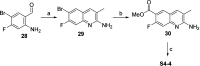 Scheme 5