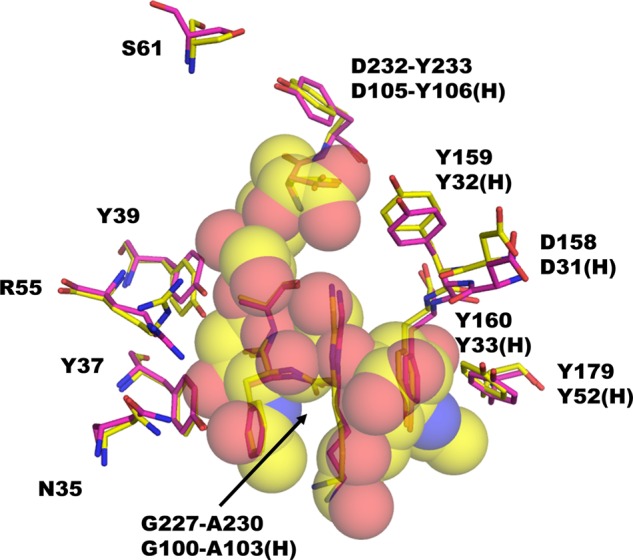 FIGURE 12.