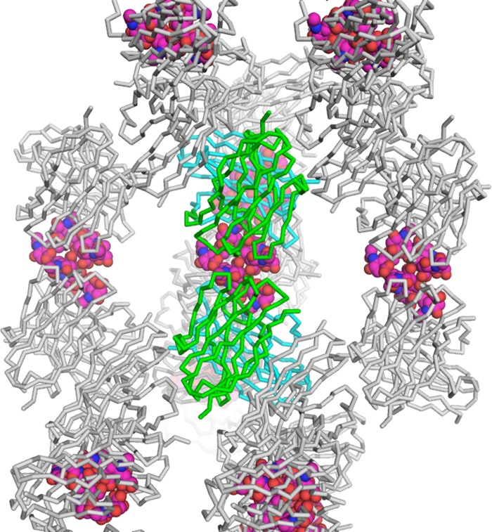 FIGURE 10.