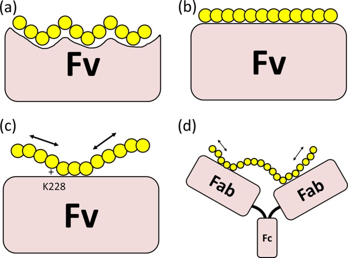 FIGURE 11.