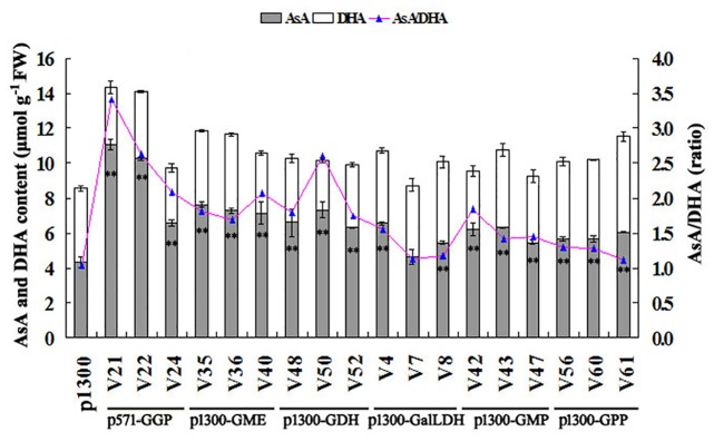 Fig 6