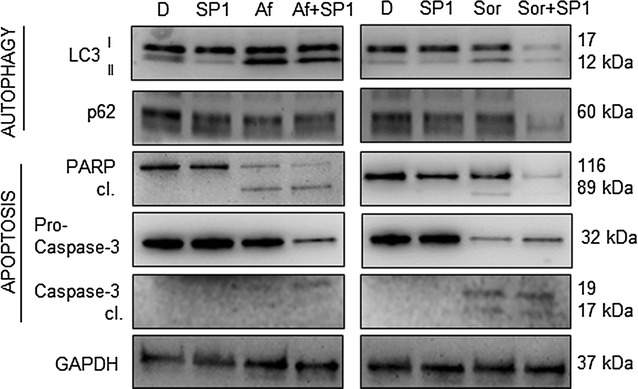 Fig. 6