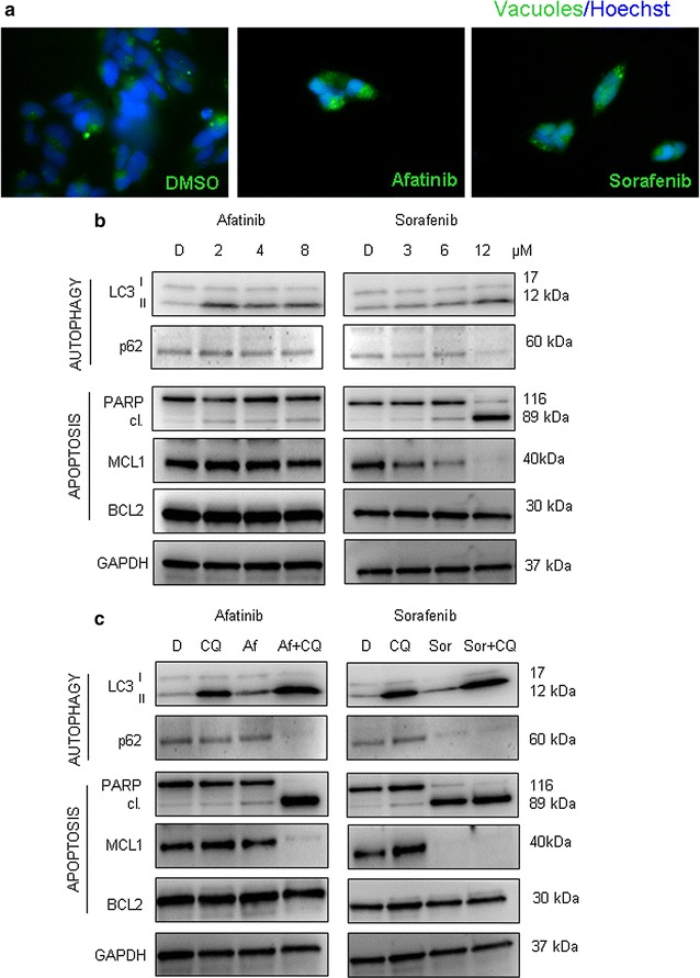 Fig. 7