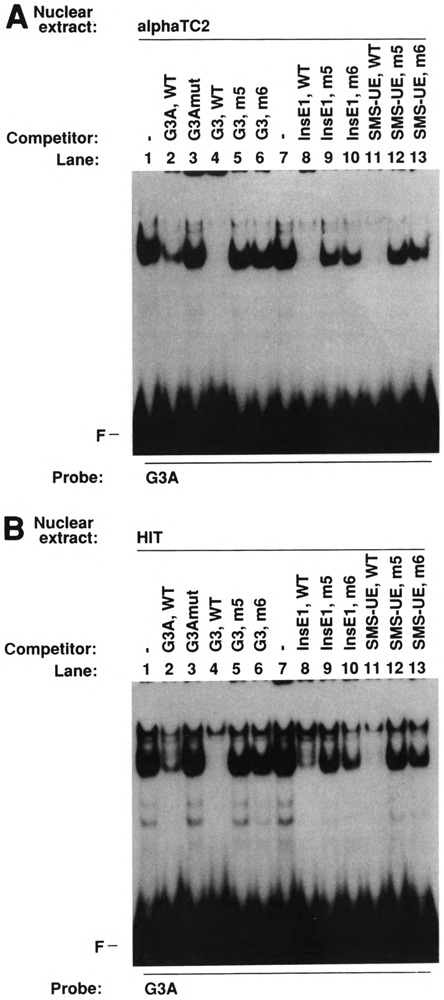 FIG. 6