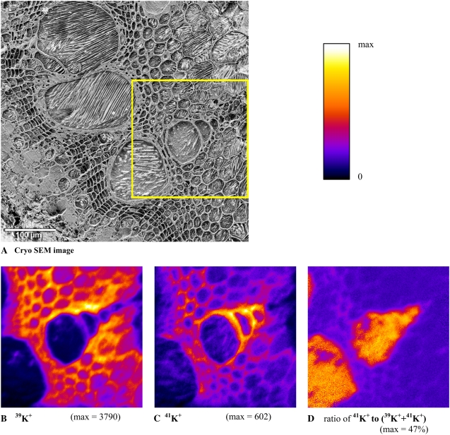 Figure 4.