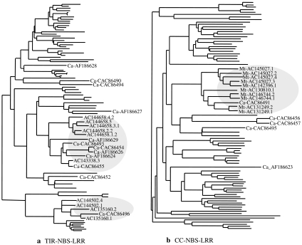 Fig. 6