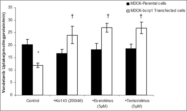 Fig.1