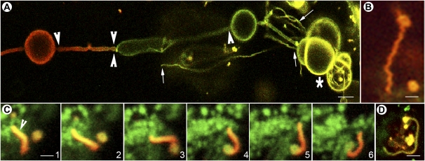 Figure 3.