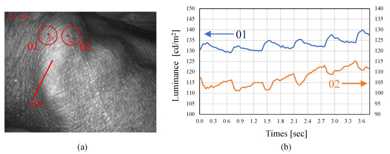 Figure 16