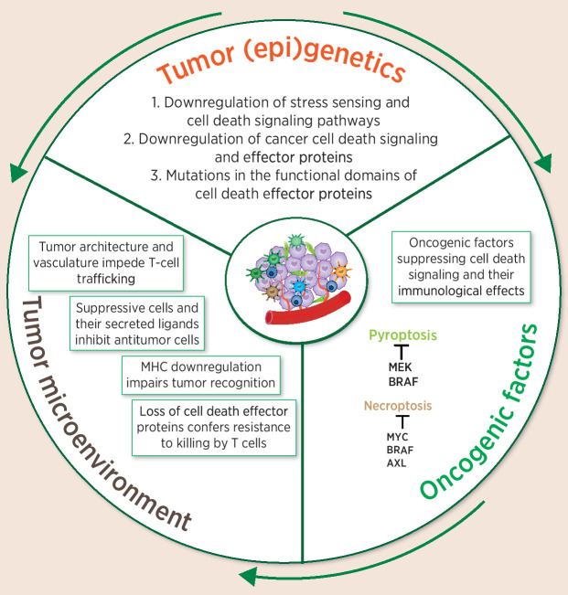 Figure 3. Inhibiting cell death confers cancer's proliferative capacity and ability to hide from immune-mediated detection and attack. Cancer cells evade immunogenic cell death by downregulating the initiation and execution of cell death. In addition to downregulating the cell death machinery via (epi)genetics, a variety of cancers employ tumor-intrinsic oncogenic pathways to selectively shut off ICD. In some cases, the immunosuppressive microenvironment renders ICD-primed antitumor cells to lose functionality.