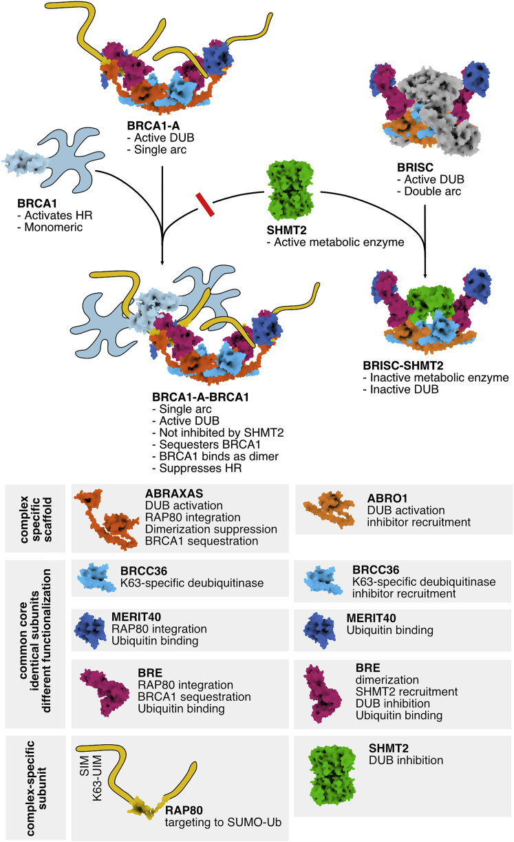 Figure 7