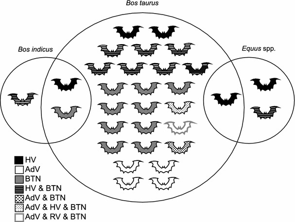 Figure 5