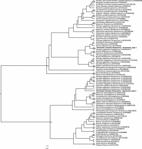 Figure 4