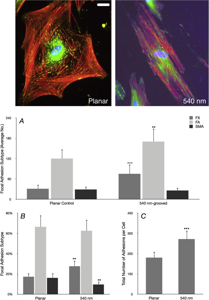 Supplementary Figure 1