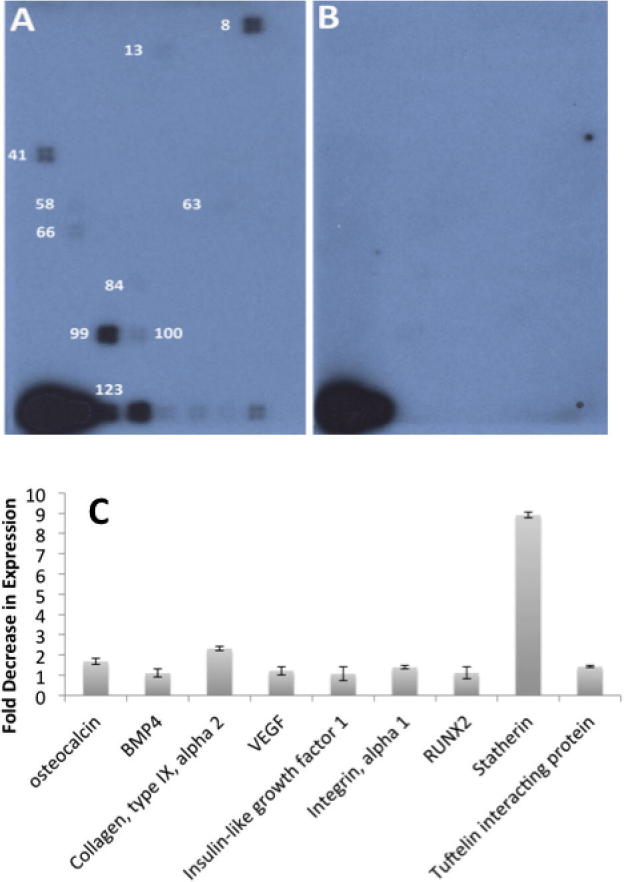 Supplementary Figure 2