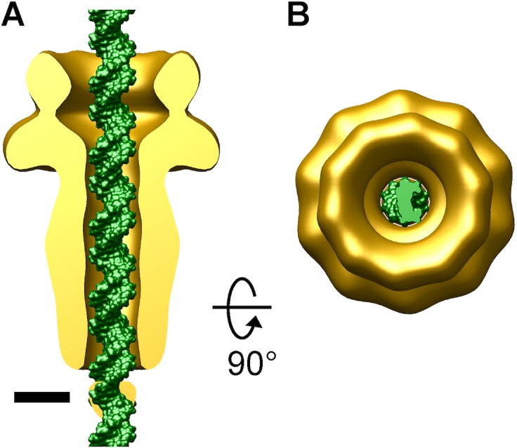 Fig 3