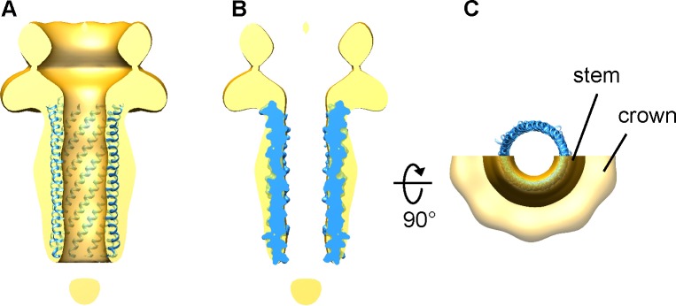 Fig 4