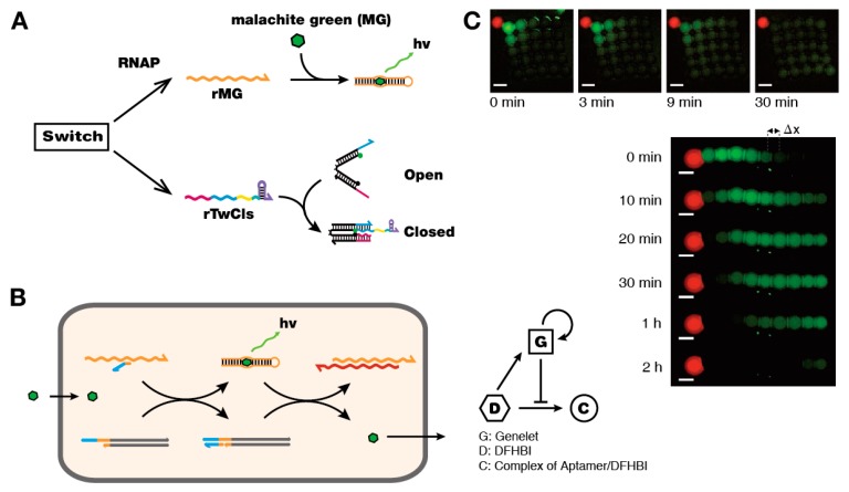 Figure 4