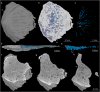 Fig. 3