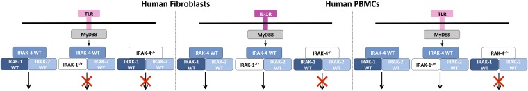 Fig. 8.