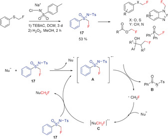 Scheme 9