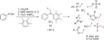 Scheme 5