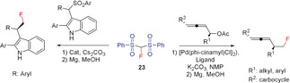 Scheme 19