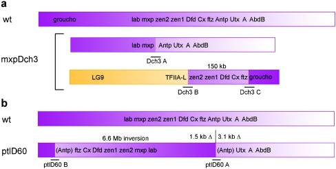 Fig. 3