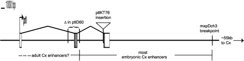 Fig. 5