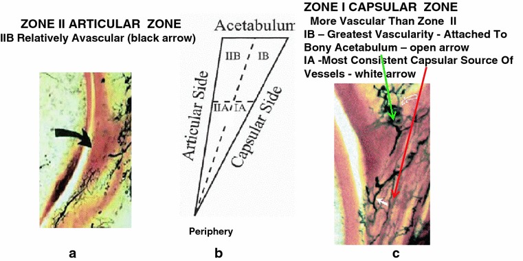 Fig. 8