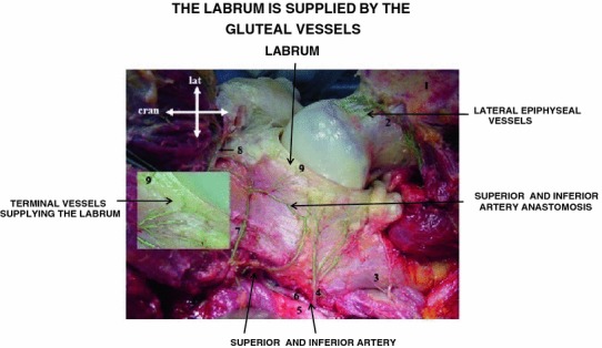 Fig. 7