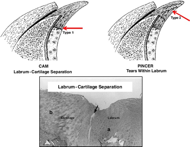 Fig. 13