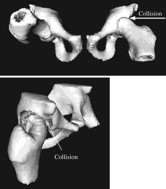 Fig. 10