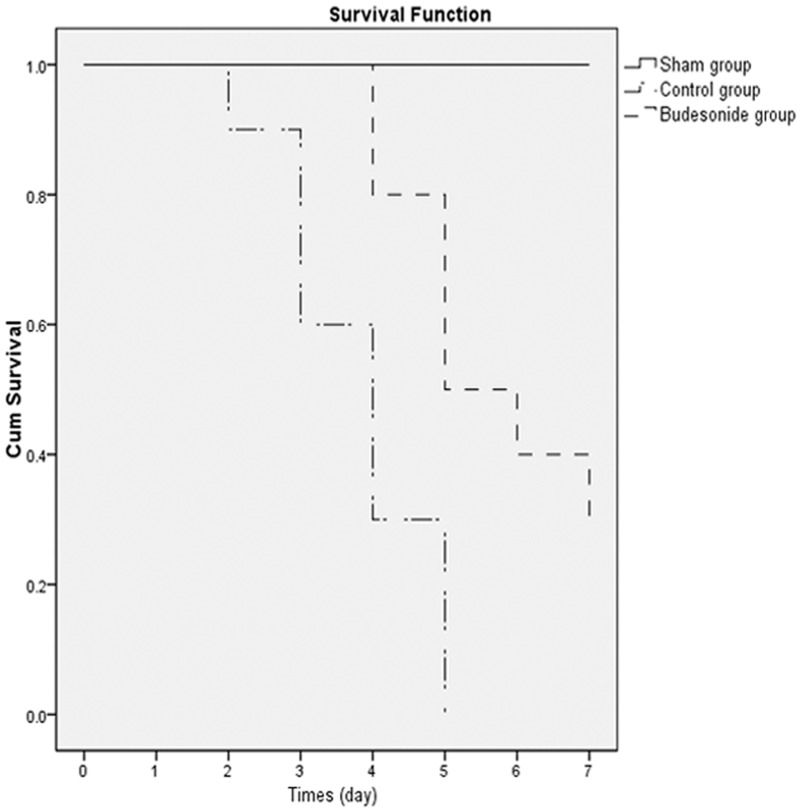 Figure 7