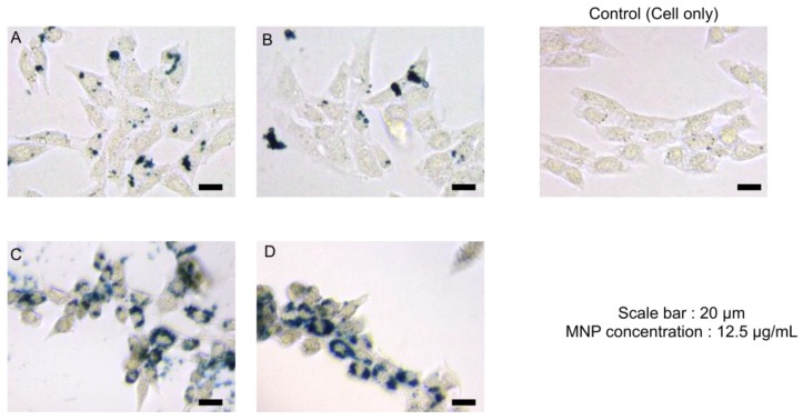 Figure 15