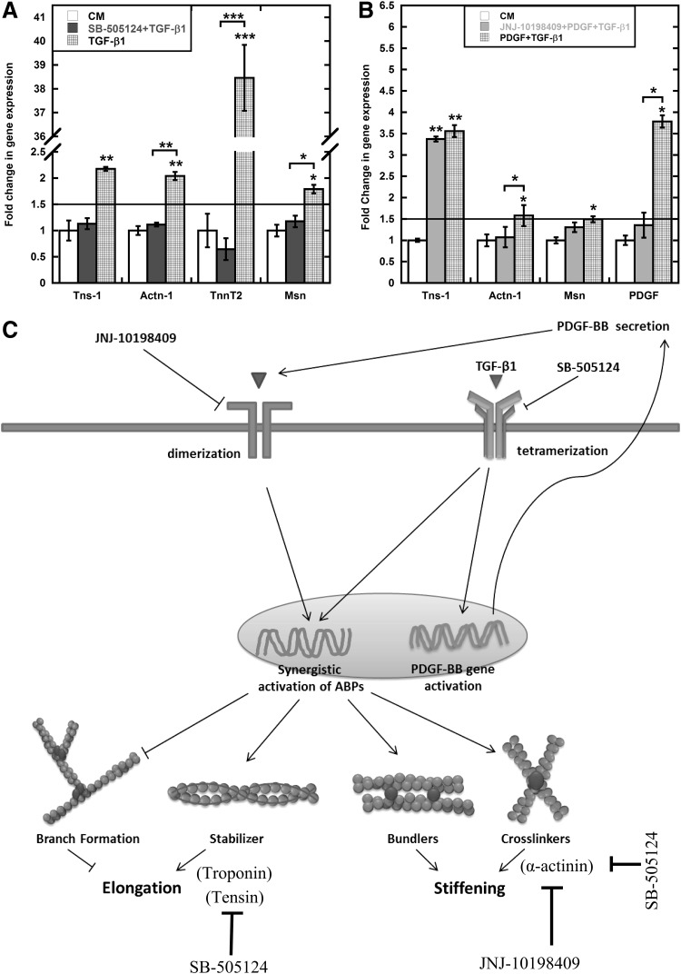 FIG. 6.