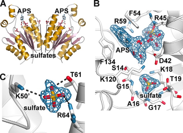 FIGURE 5.