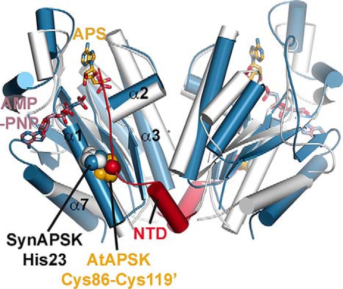 FIGURE 7.