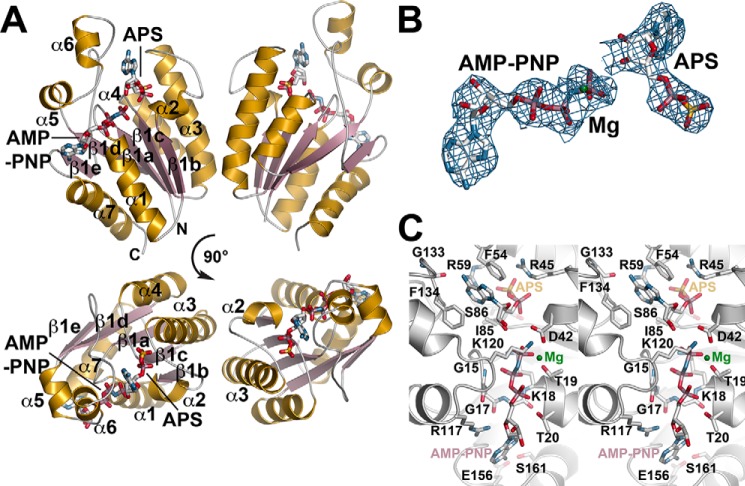 FIGURE 3.