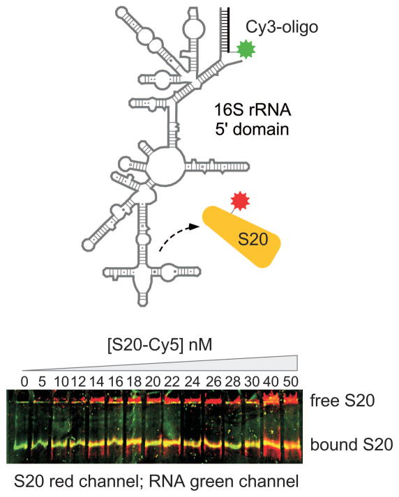 Figure 11.4.3