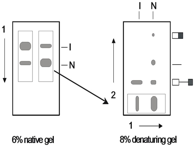 Figure 11.4.1