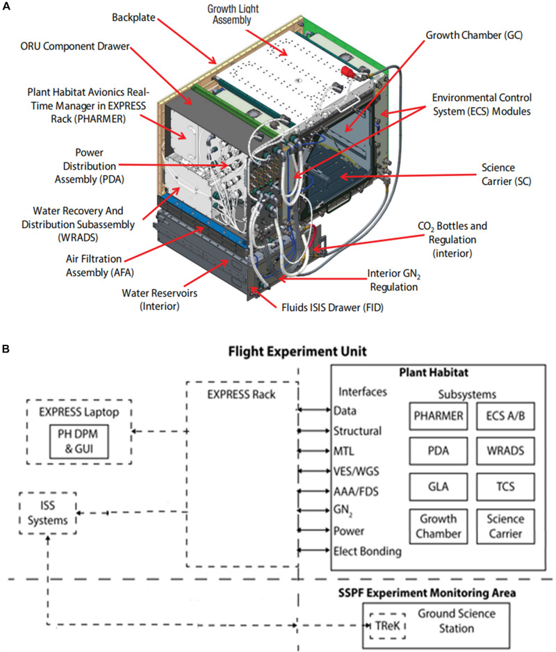 FIGURE 1